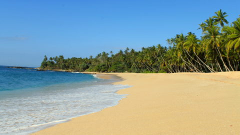 Sri Lanka Best Beach